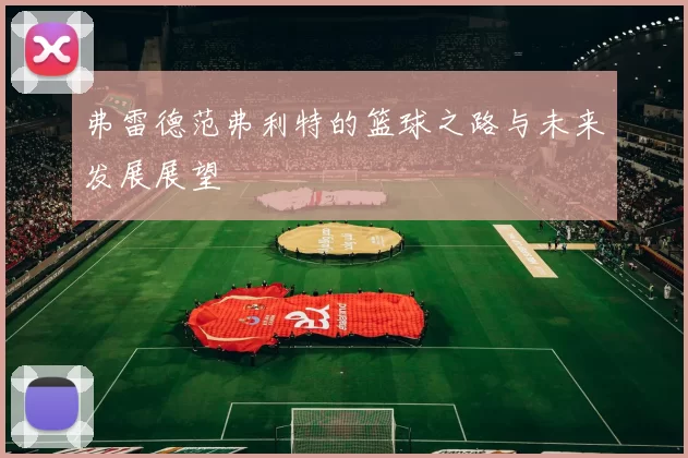 弗雷德范弗利特的篮球之路与未来发展展望