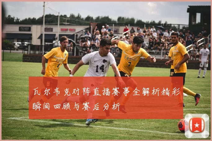 瓦尔韦克对阵直播赛事全解析精彩瞬间回顾与赛后分析