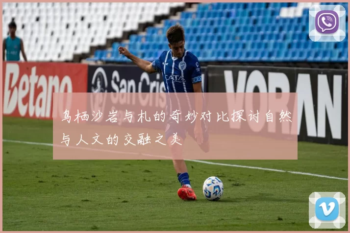 鸟栖沙岩与札的奇妙对比探讨自然与人文的交融之美