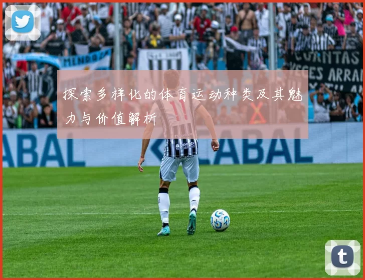 探索多样化的体育运动种类及其魅力与价值解析