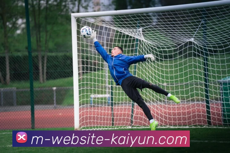 开云平台生态图